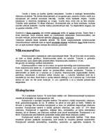 Referāts 'Histoloģija', 18.