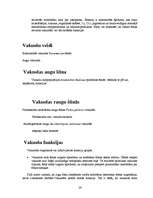 Referāts 'Histoloģija', 26.