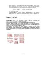 Referāts 'Histoloģija', 29.