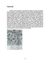 Referāts 'Histoloģija', 32.