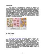 Referāts 'Histoloģija', 35.