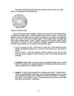 Referāts 'Histoloģija', 37.