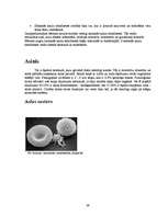 Referāts 'Histoloģija', 39.