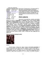 Referāts 'Histoloģija', 40.