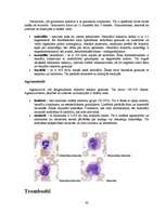 Referāts 'Histoloģija', 42.