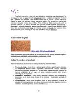 Referāts 'Histoloģija', 43.