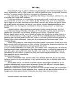 Konspekts 'Igora Stravinska balets "Petruška"', 2.