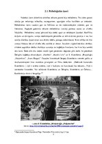 Referāts 'Mākslas kino dramatiskie žanri', 5.