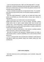 Referāts 'Ķīlas tiesības un to veidi', 7.