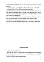 Referāts 'Ķīlas tiesības un to veidi', 8.