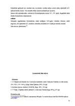 Referāts 'Ķīlas tiesības un to veidi', 19.