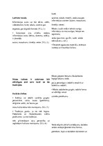 Konspekts 'Integrētā nodarbība sākumskolā. Garais konspekts', 2.