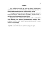 Referāts 'Japānas multinacionālo uzņēmumu vadīšanas īpatnības', 4.