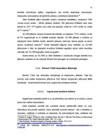 Referāts 'Japānas multinacionālo uzņēmumu vadīšanas īpatnības', 13.