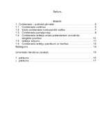 Referāts 'Valsts civildienesta ierēdņi - valsts pārvaldes subjekti', 1.