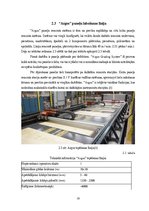 Diplomdarbs 'Saplākšņa padeves līnija defektu aizsmērēšanai/tepēšanai', 19.