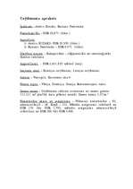 Biznesa plāns 'Biznesa plāns', 4.