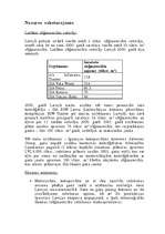 Biznesa plāns 'Biznesa plāns', 6.