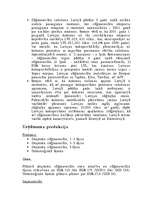 Biznesa plāns 'Biznesa plāns', 7.