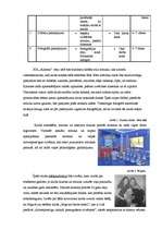 Biznesa plāns 'SIA „Allarma” pakalpojumu raksturojums. BP 2.nodaļa', 2.