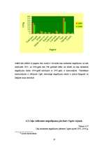 Referāts 'Ceļu satiksmes negadījumi Ogres rajonā', 19.