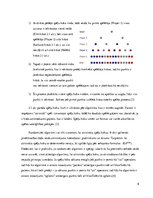 Paraugs 'Ievads datorzinātņu un informācijas tehnoloģiju nozarē', 6.