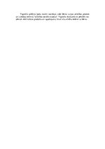 Eseja 'Vigotska koncepcijas un viņa skolnieku ieguldījums attīstības psiholoģijā', 5.