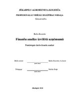 Paraugs 'Kā veicama finanšu analīze izvēlētajā uzņēmumā', 1.