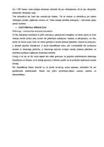 Konspekts 'VEF bankas finanšu pārskatu analīze', 5.