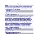 Referāts 'Uzņēmējdarbības iekšējā un ārējā vide', 2.