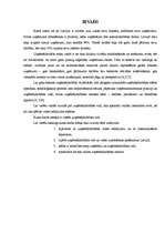 Referāts 'Uzņēmējdarbības iekšējā un ārējā vide', 4.