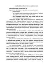 Referāts 'Uzņēmējdarbības iekšējā un ārējā vide', 5.