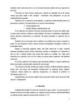 Referāts 'Uzņēmējdarbības iekšējā un ārējā vide', 7.