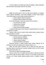 Referāts 'Uzņēmējdarbības iekšējā un ārējā vide', 14.