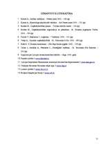 Referāts 'Uzņēmējdarbības iekšējā un ārējā vide', 23.