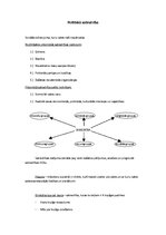 Konspekts 'Politiskā sabiedrība', 1.