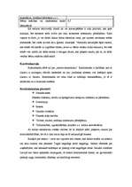 Referāts 'Ēnu ekonomika', 11.