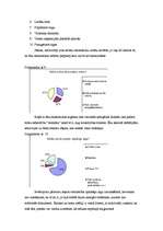 Referāts 'Ēnu ekonomika', 24.