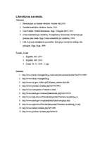 Referāts 'Ēnu ekonomika', 29.