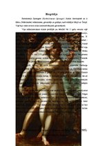 Referāts 'Bartolomejs Sprangers "Ādams un Ieva". Mākslas darba analīze', 5.