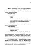 Konspekts 'Demokrātija kā politiskā sistēma', 4.