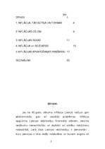 Referāts 'Inflācija', 2.