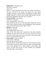 Konspekts 'Dendroloģiskā taka Liepājā', 1.