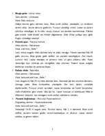 Konspekts 'Dendroloģiskā taka Liepājā', 2.