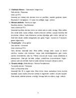 Konspekts 'Dendroloģiskā taka Liepājā', 4.