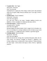 Konspekts 'Dendroloģiskā taka Liepājā', 5.