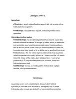 Referāts 'Atmiņa', 8.