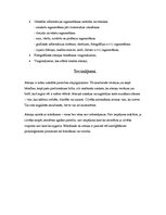 Referāts 'Atmiņa', 13.