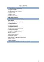 Referāts 'Resursu raksturojums augstākajā izglītībā Latvijā', 19.