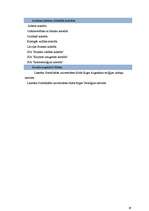 Referāts 'Resursu raksturojums augstākajā izglītībā Latvijā', 21.